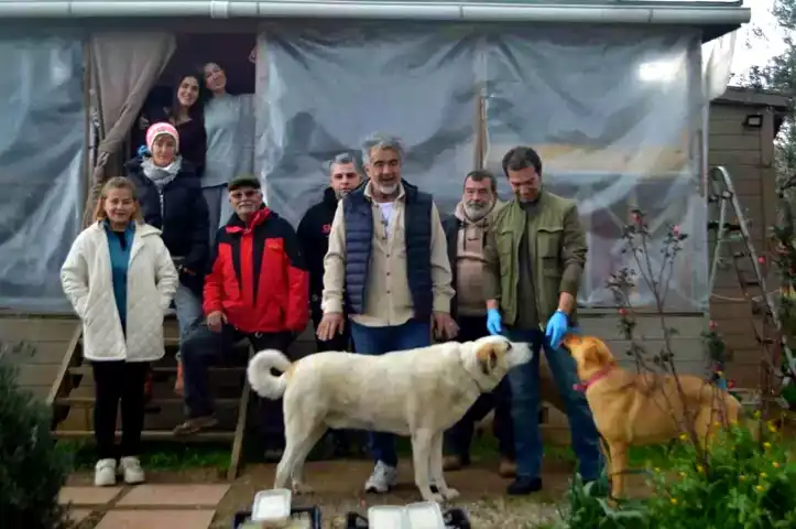 Ayvalık'ta Sokak Hayvanları İçin Gönüllü Hareket