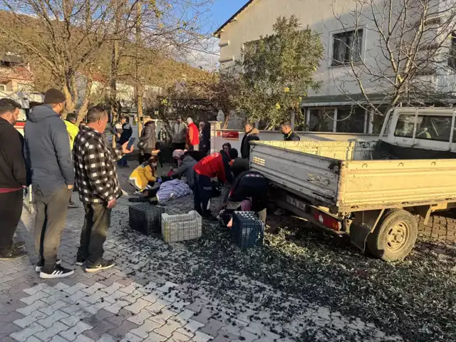 Balıkesir'de Zeytin Yüklü Traktör Kazası: 5 Yaralı